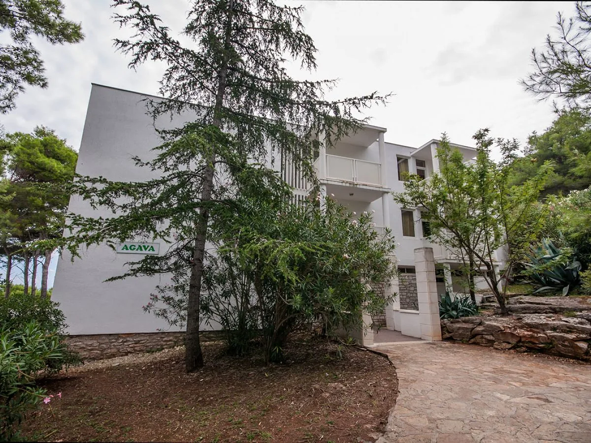 Hotel Agava / Mirta 3*