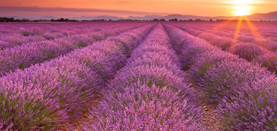 Provansa i Azurna obala - 5 dana