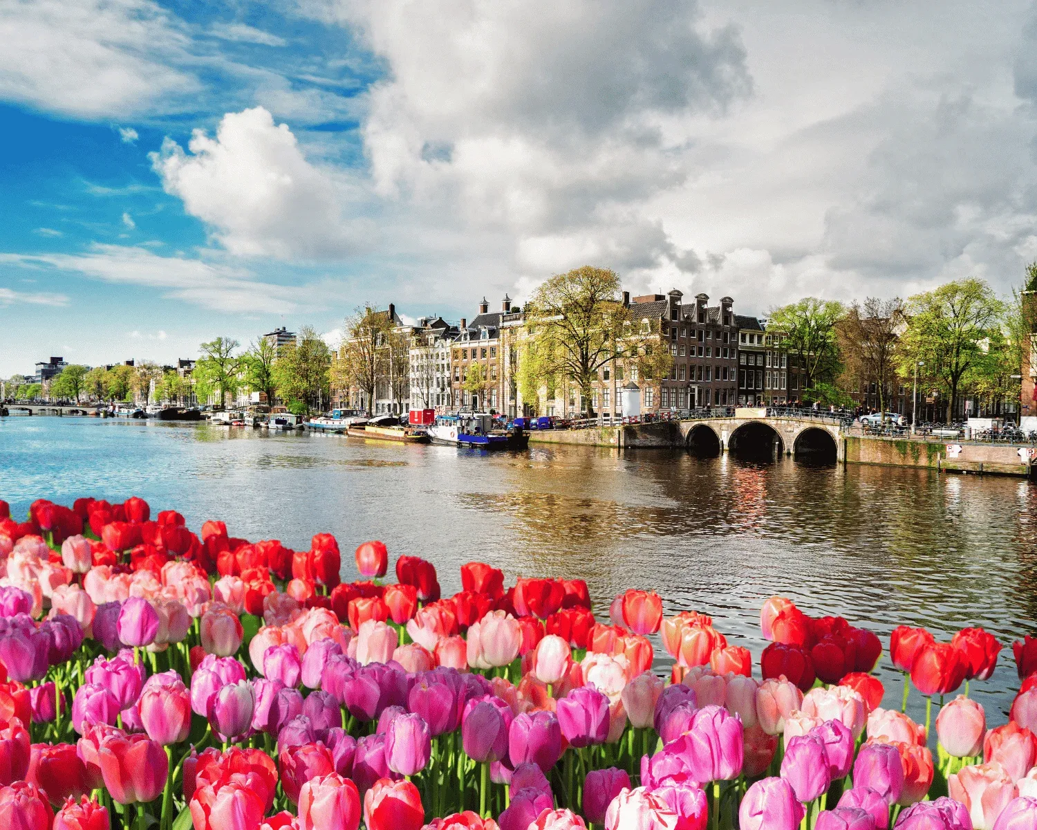 Amsterdam lipanj – galerija 1