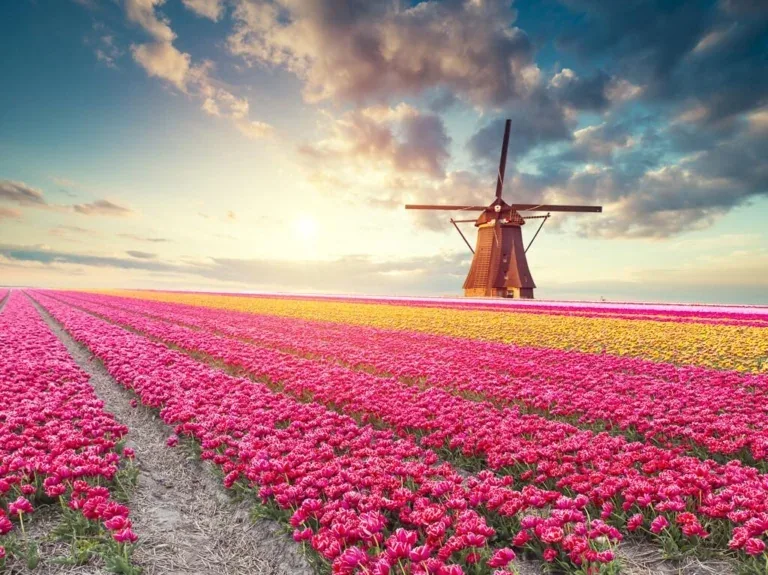 Amsterdam lipanj – galerija 2