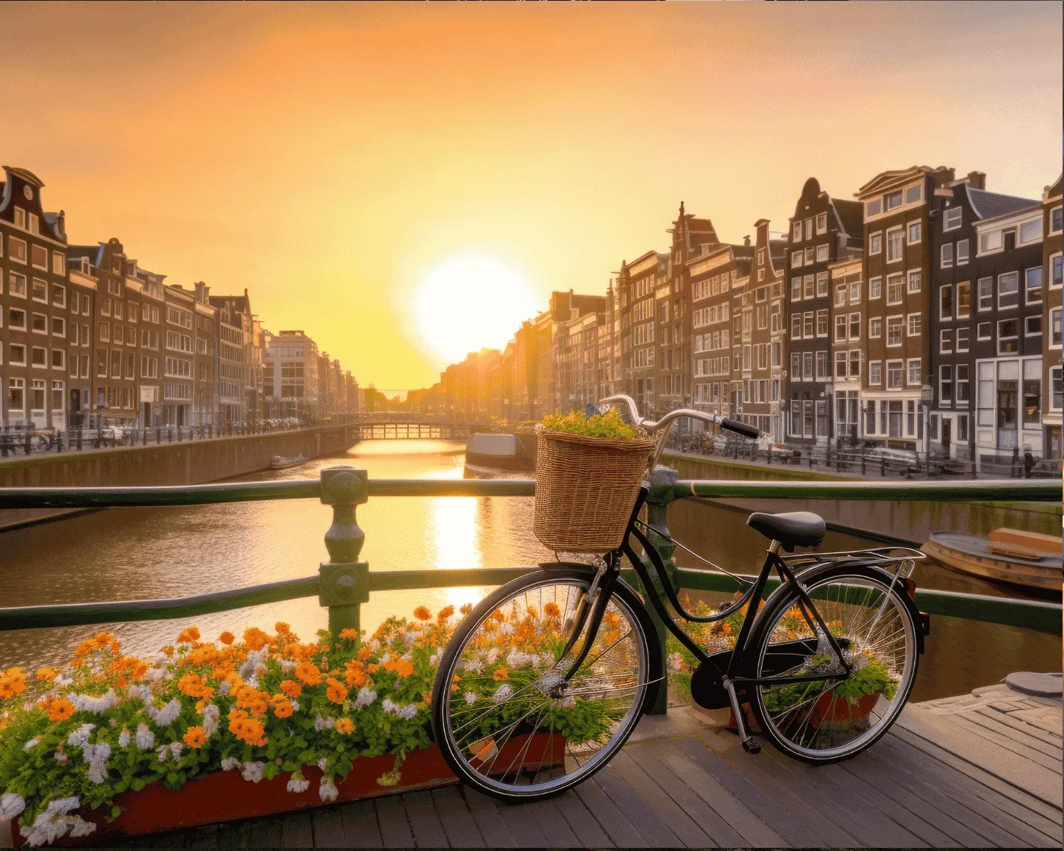 Amsterdam ljeto – galerija 1