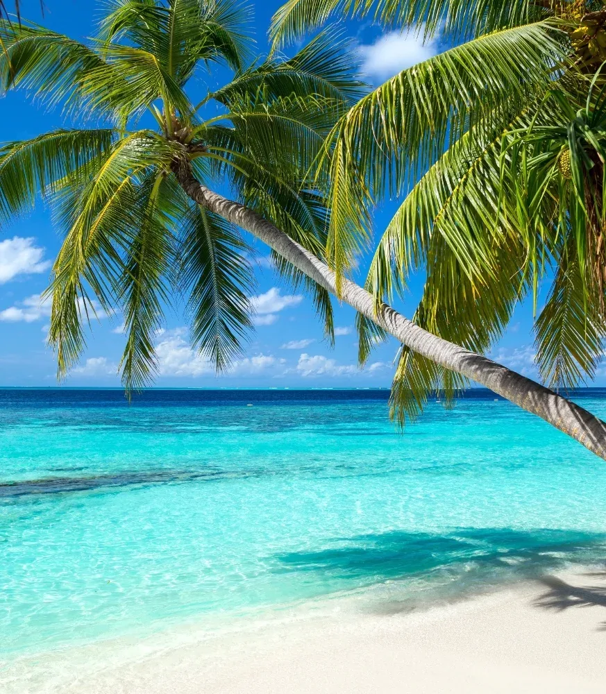 Dubai & Maldivi Nova godina