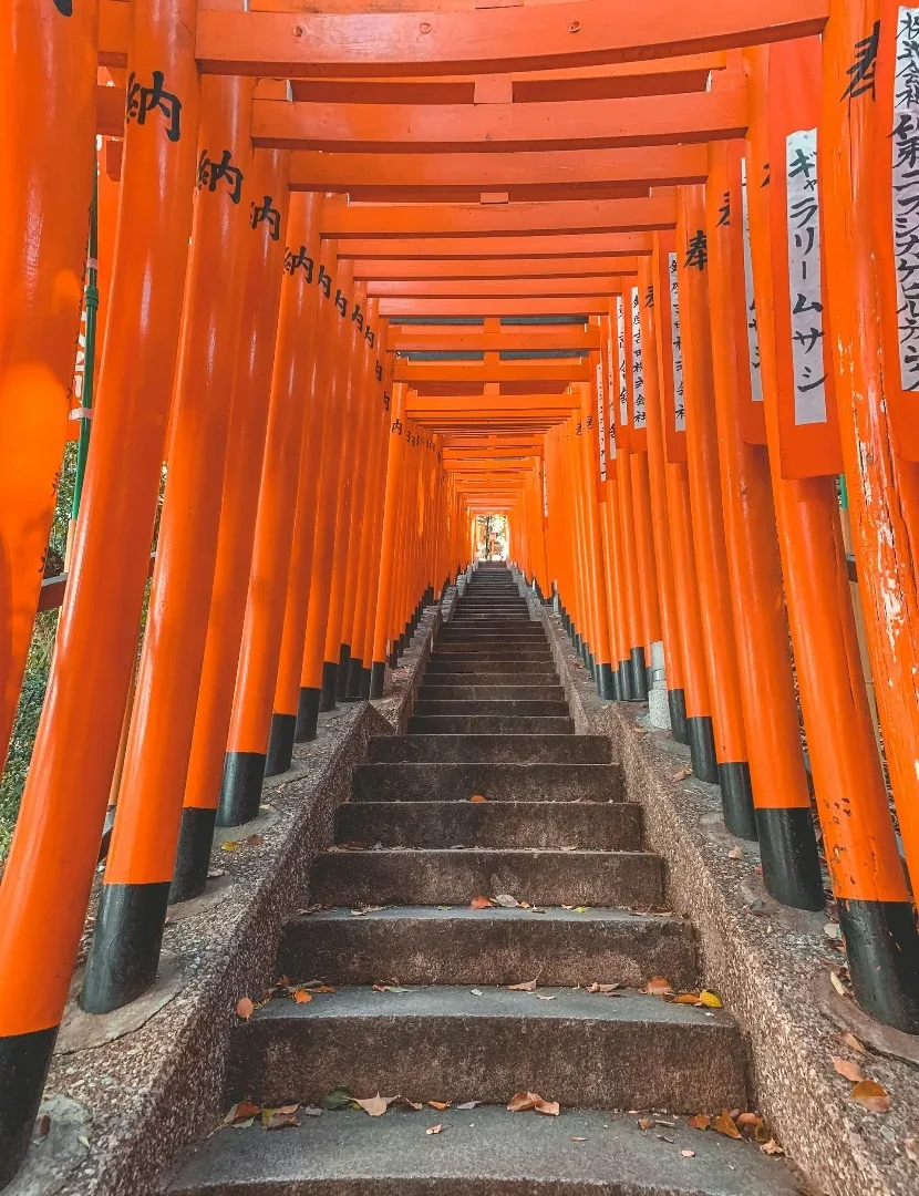Japan na Turkish Airliensu