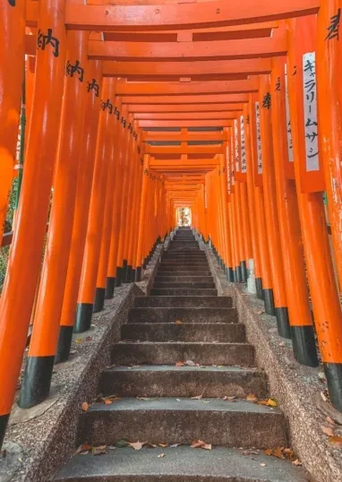 Južna Koreja s otokom Jeju – galerija 2