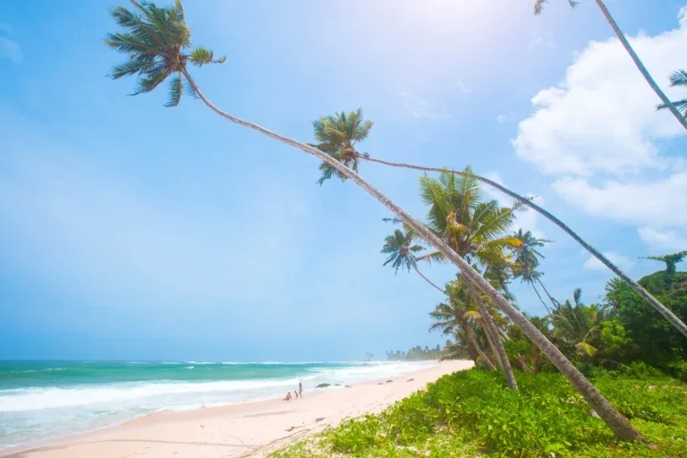 Kenija – galerija 2