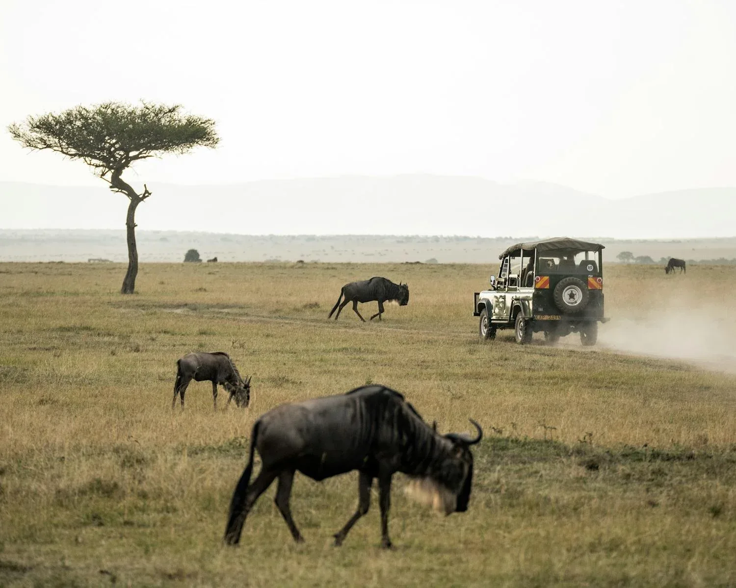 Kenija – galerija 1