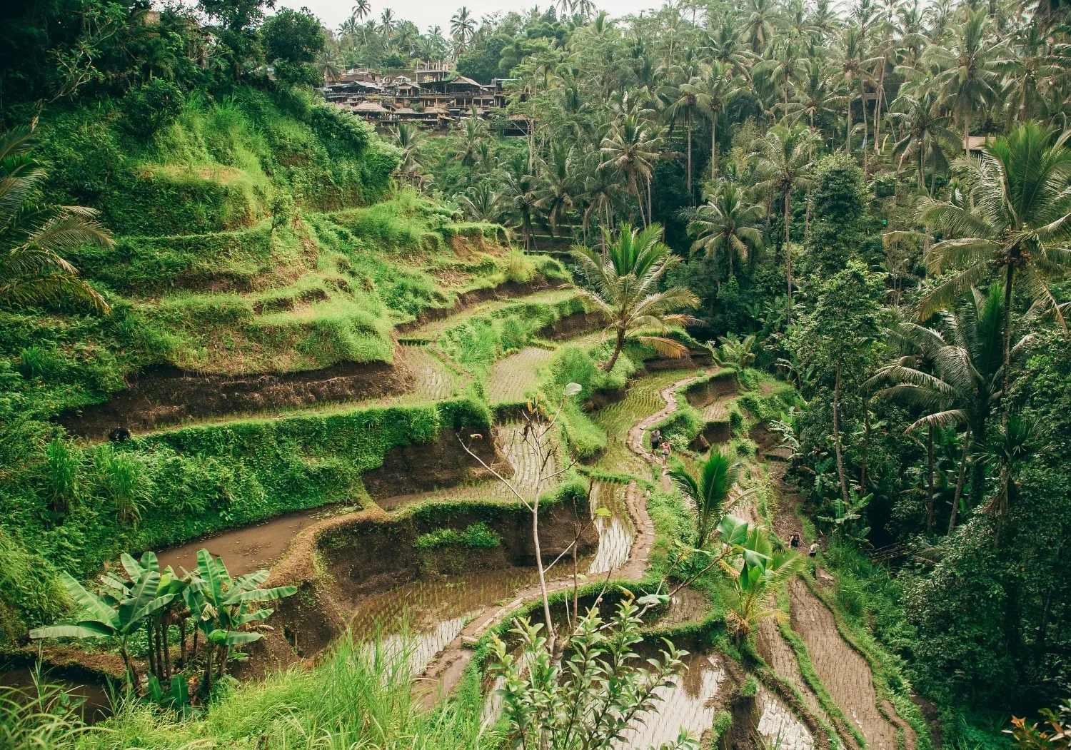 KL, Bali & Singapur Nova godina 2 – galerija 1