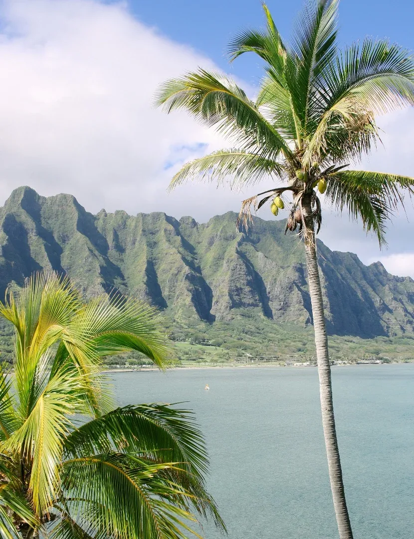 Los Angeles & Havaji Nova godina