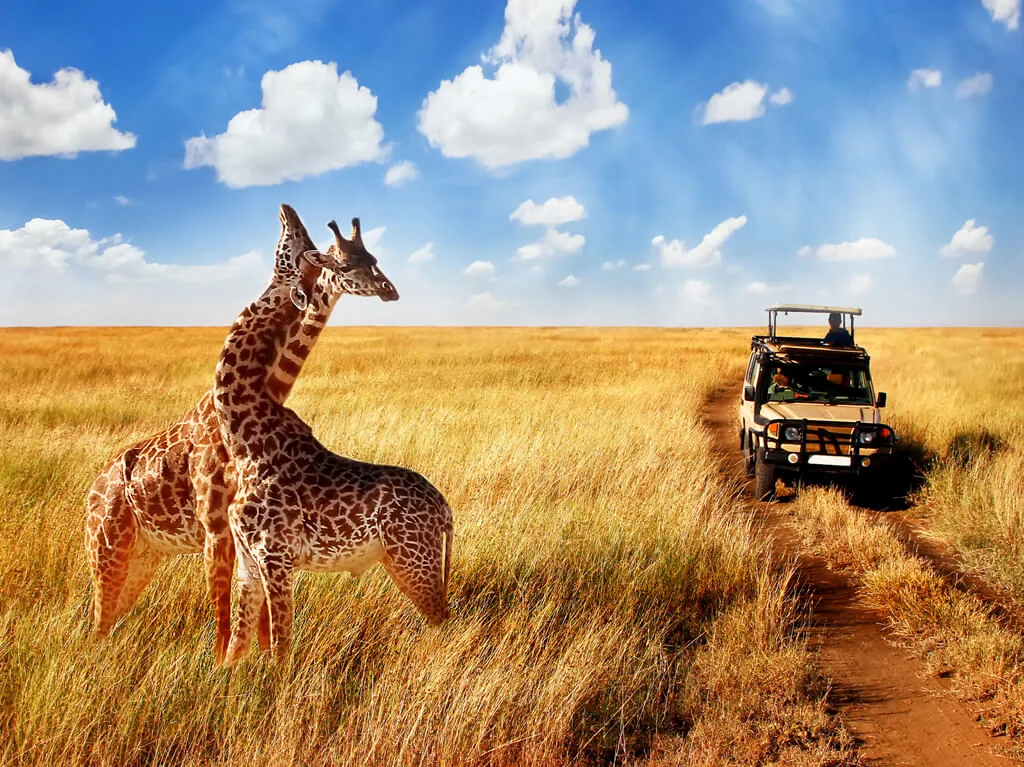 Kenija Velika tura - zimski termini 2027. – galerija 2