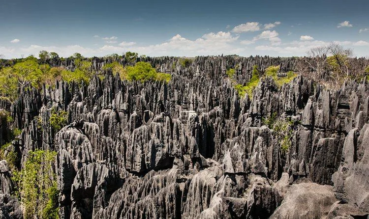 Doživeti Madagaskar in tropski Mavricij – galerija 1