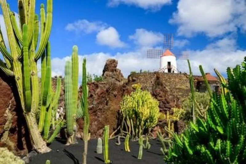 Lanzarote - preplet sonca, vulkanov in puščave – galerija 1